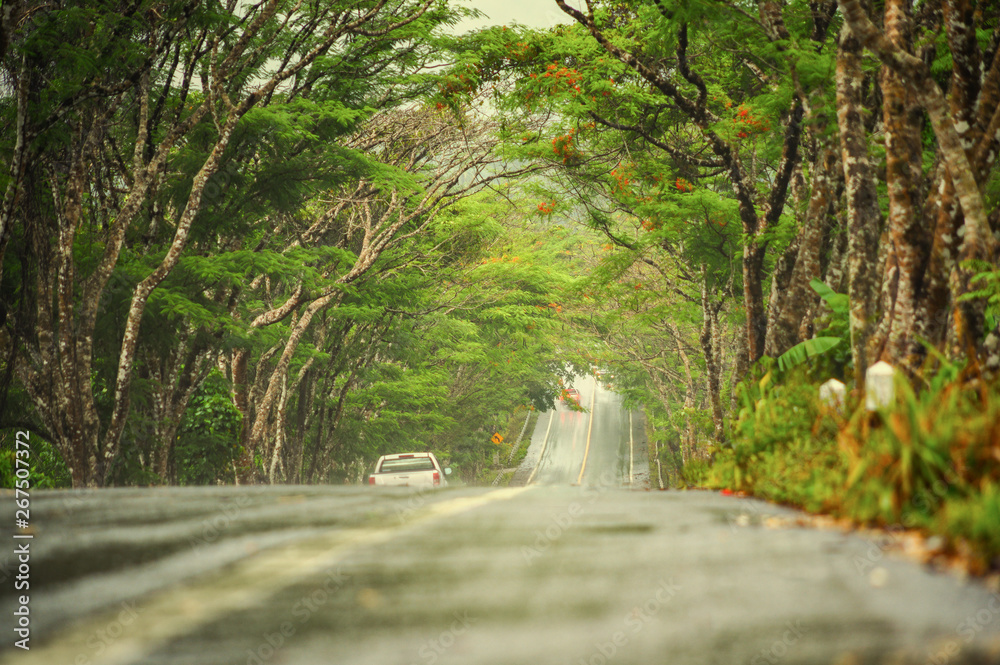 Wet road in countryside with nature on green mountain after rainy.