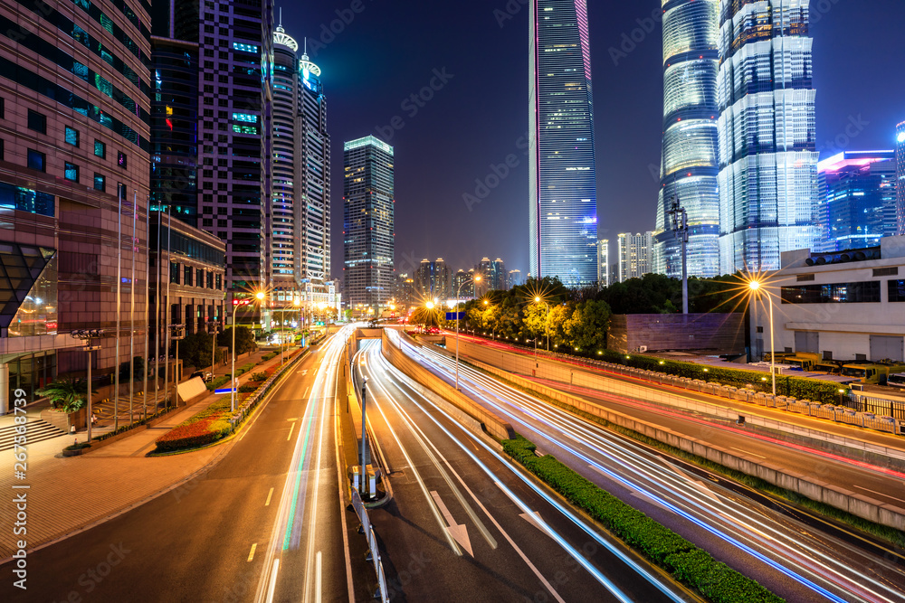 美丽的上海城市夜景