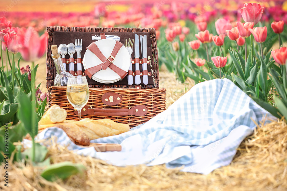 Place for picnic among tulips outdoors on spring day