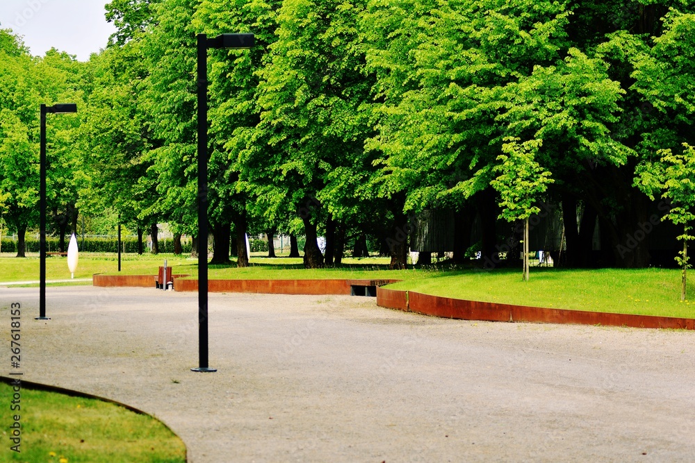 Beautiful panorama of green city park at dawn 