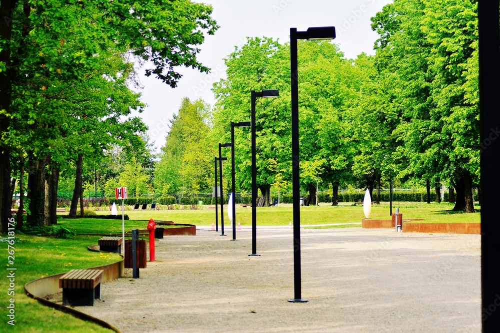 Beautiful panorama of green city park at dawn 