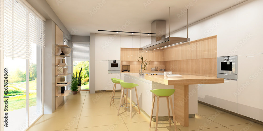 Modern kitchen interior