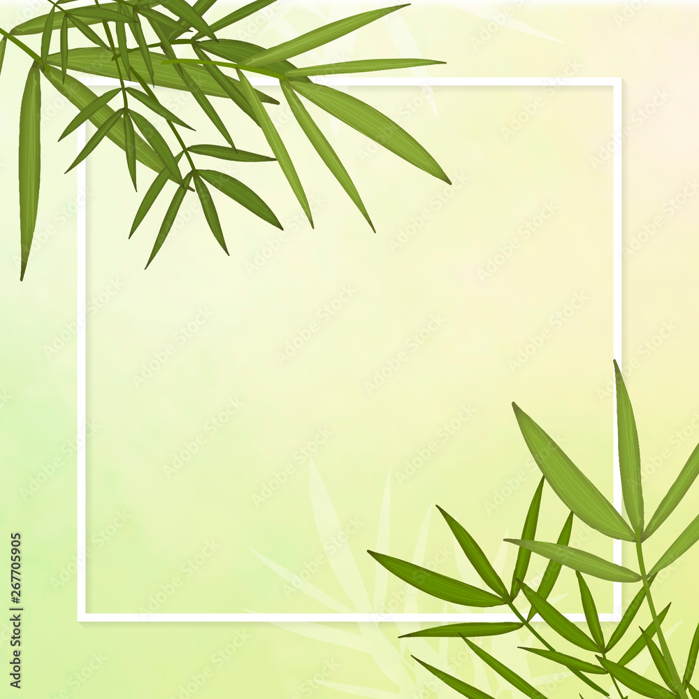 Bamboo leaf background