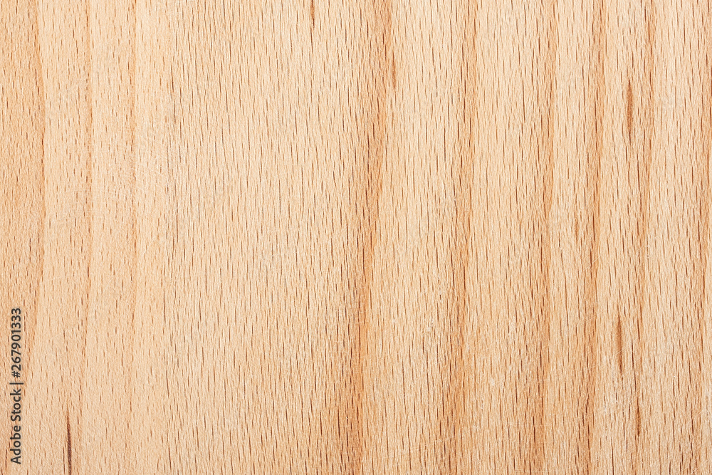 Elm wood texture detail background material