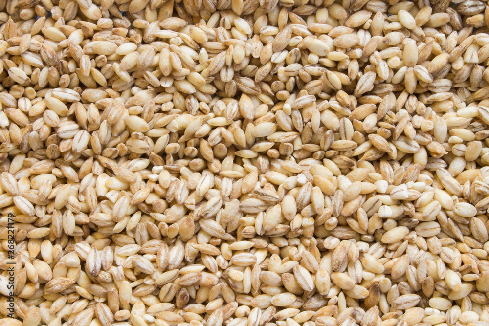 background of raw dry grains of pearl barley decomposed by furrows