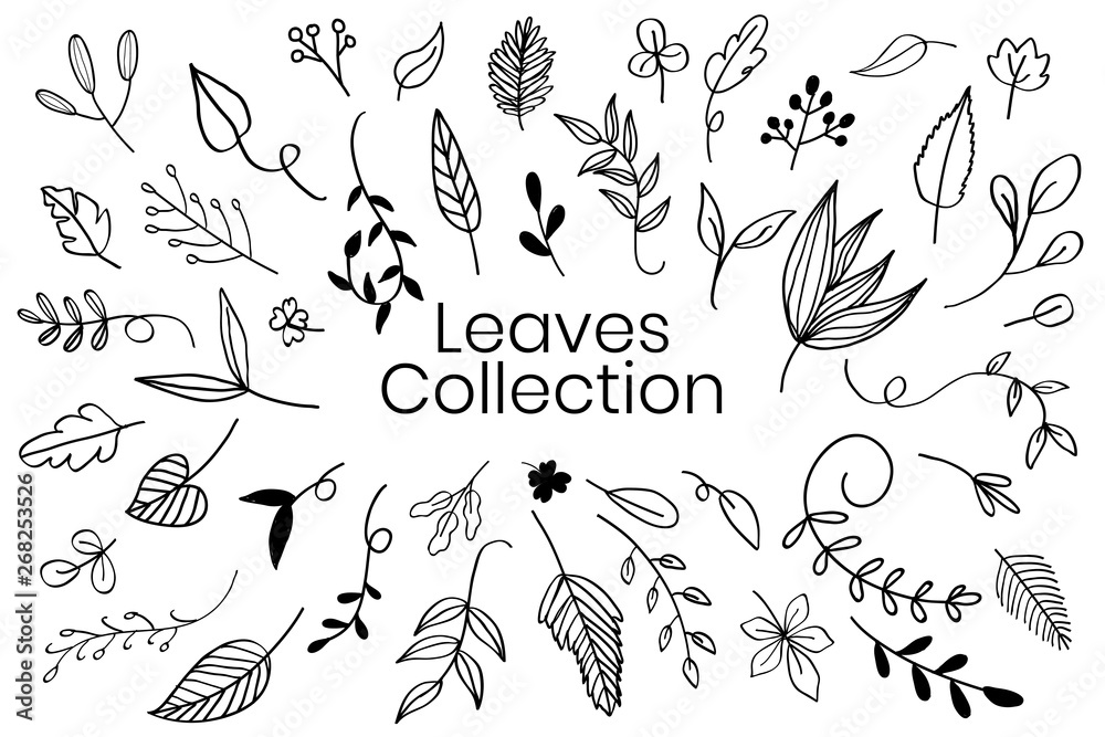 Hand drawn leaves set