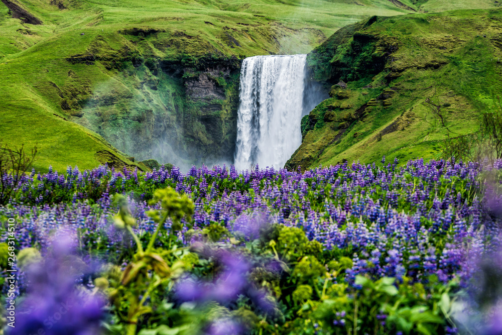 Beautiful scenery of the majestic Skogafoss Waterfall in countryside of Iceland in summer. Skogafoss