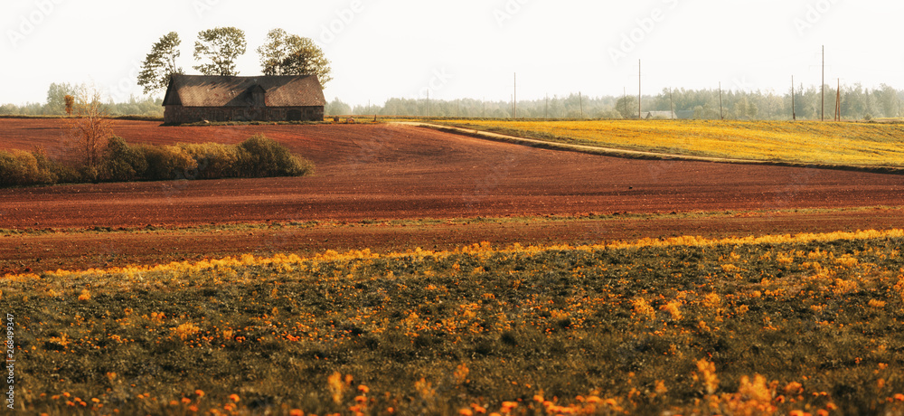 beautiful Latvian landscape