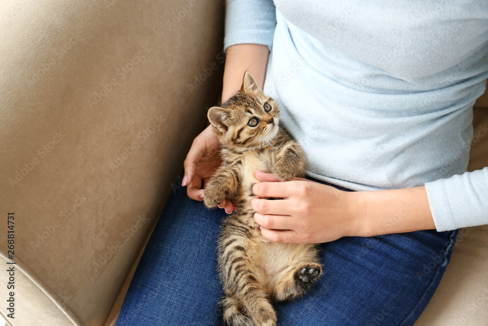 家里养着可爱有趣小猫的女人