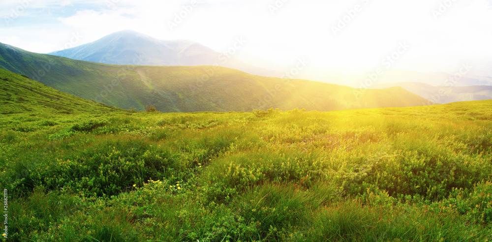 Mountains landscape in the summer