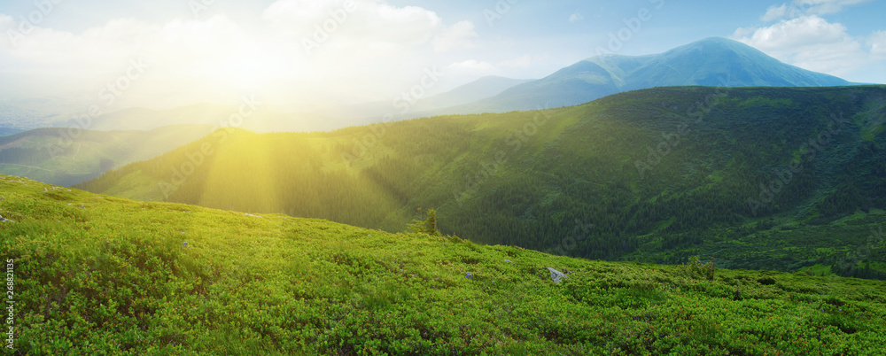 夏日山景