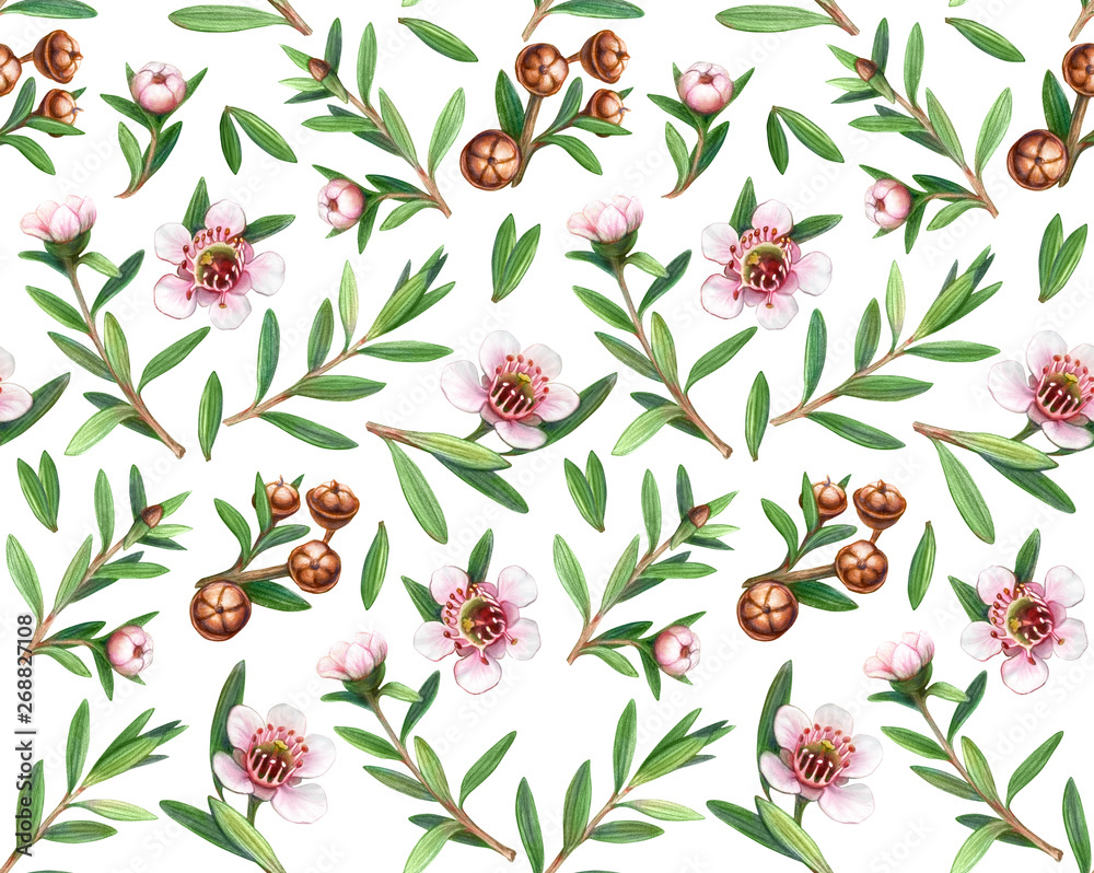 Manuka Flowers, Leaves and Fruit Pencil Drawing Seamless Pattern