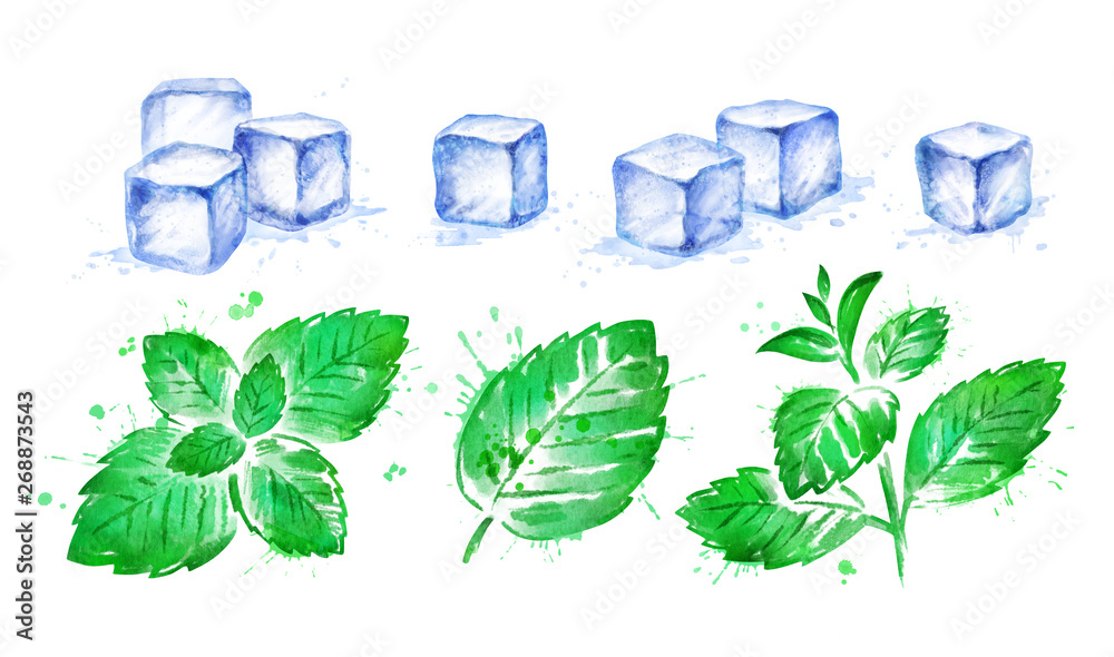 Watercolor illustration of Mint leaves and Ice Cubes