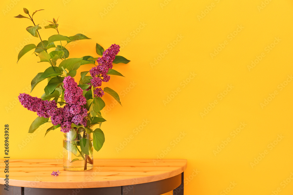 Beautiful lilac flowers in vase on table against color background