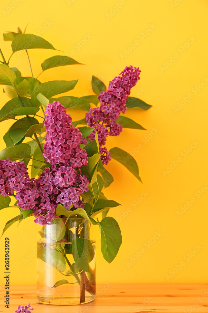 Beautiful lilac flowers in vase on table against color background