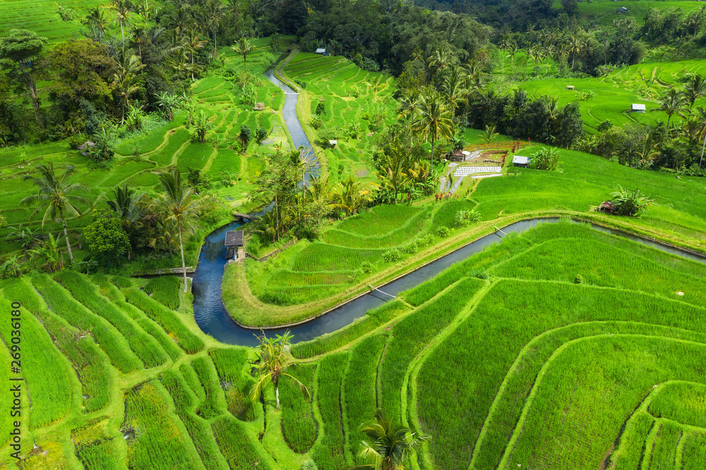 Aerial view of rice terraces. Landscape with drone. Agricultural landscape from the air. Rice terrac