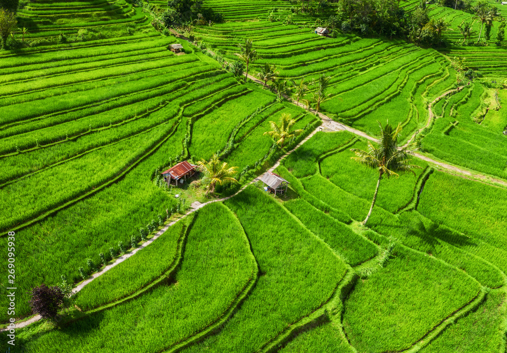 Aerial view of rice terraces. Landscape with drone. Agricultural landscape from the air. Rice terrac