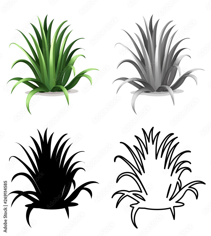 Set of grass on white background