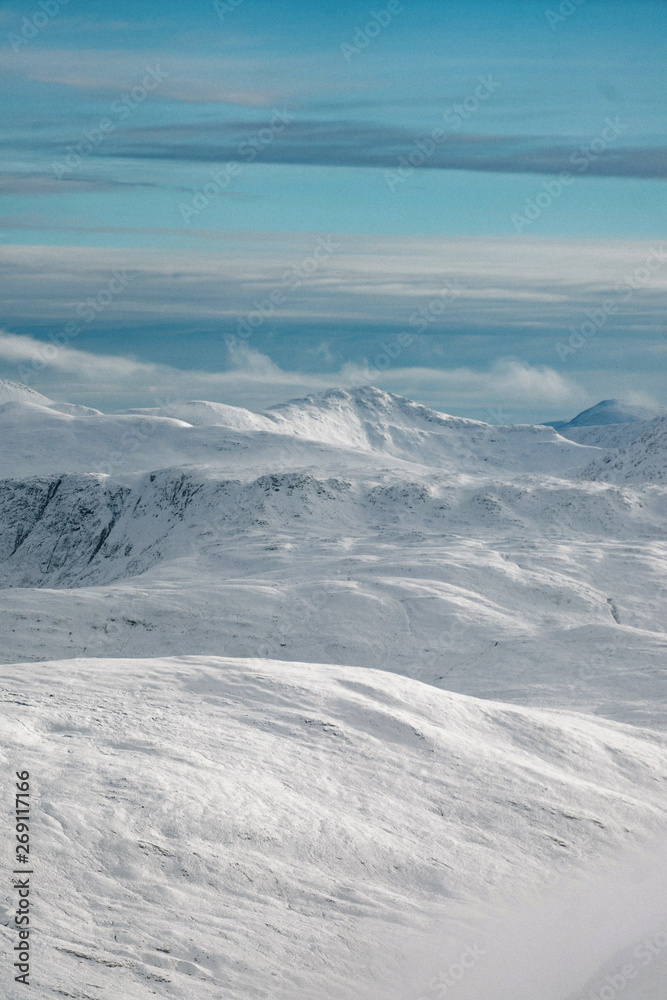 Snow covered winter landscape