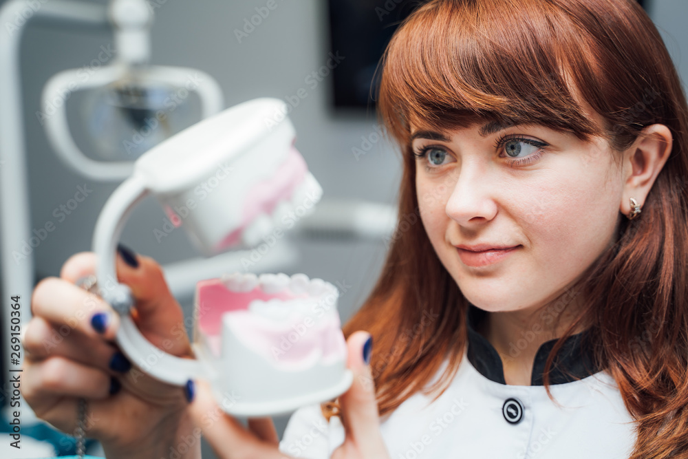 Portrait of a beautiful woman is looking at the artificial jaw in clinic. Teeth jaw layout in the ha