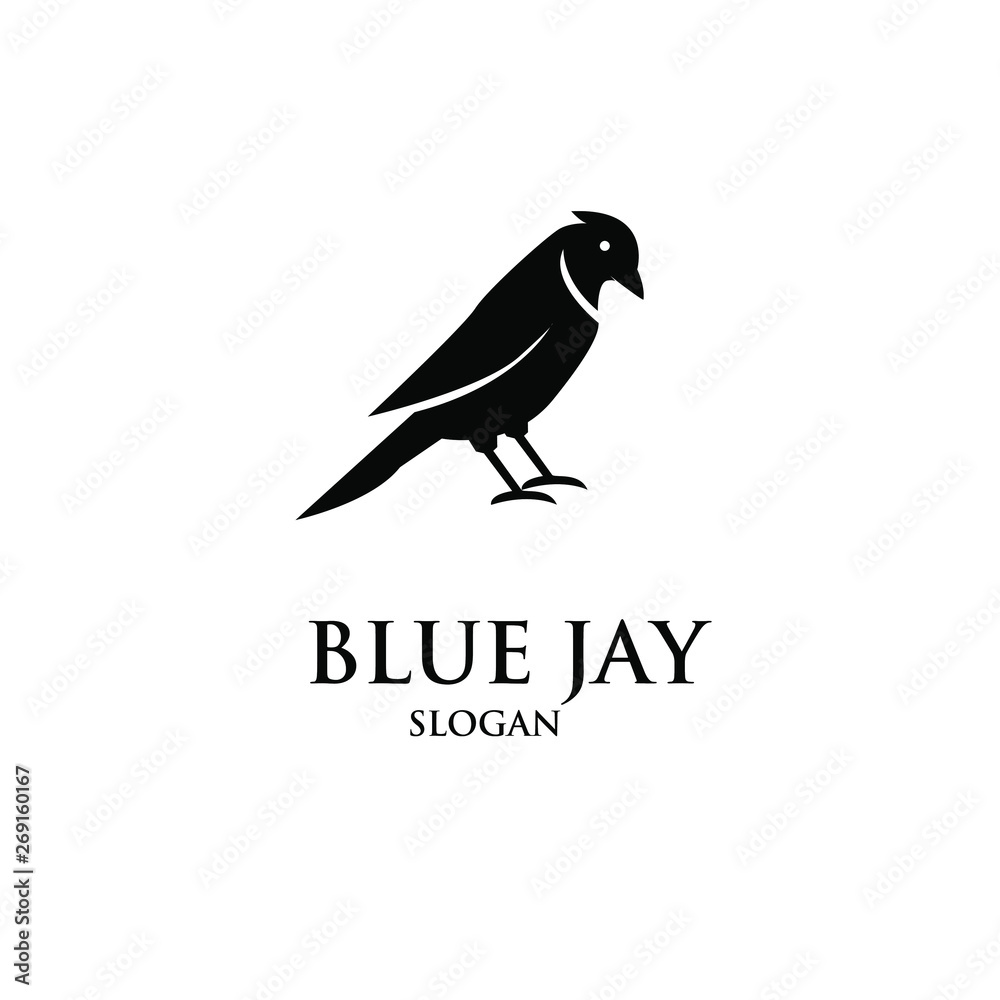 blue jay bird logo icon designs vector illustration