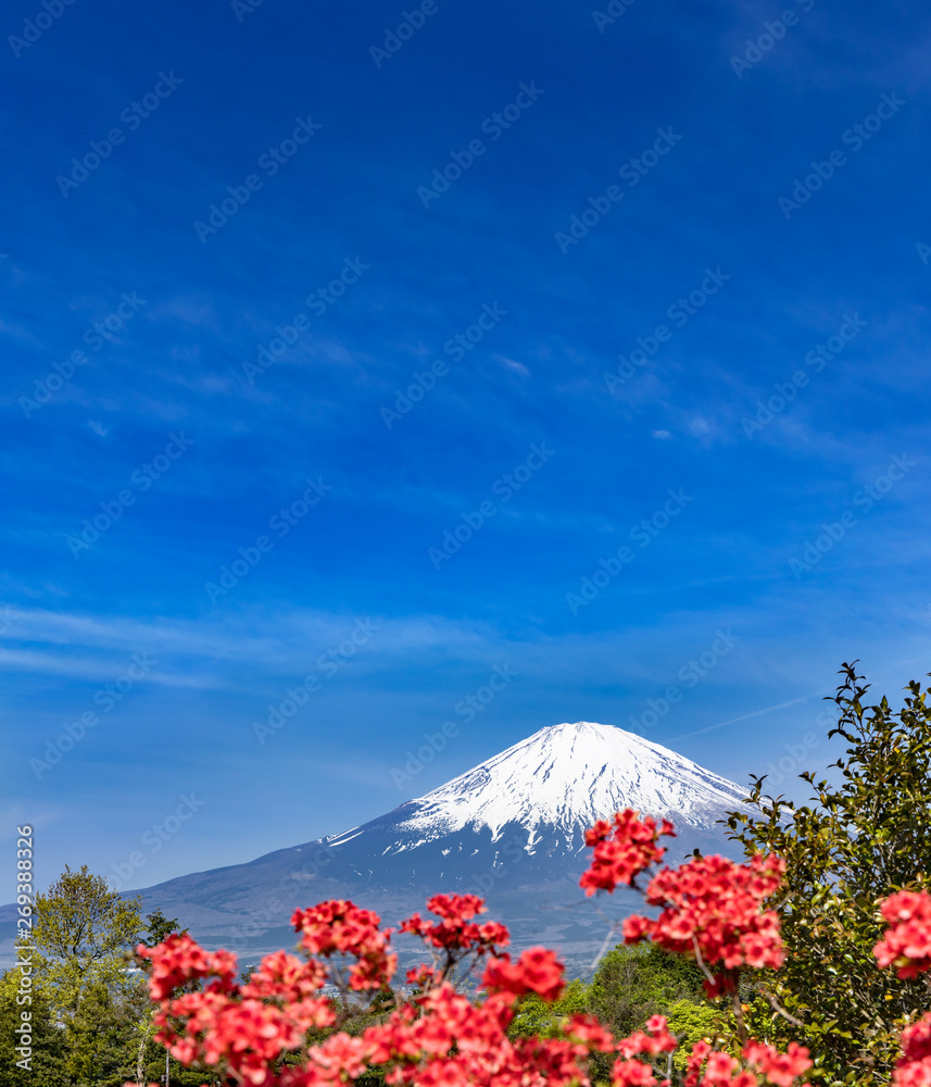 富士山と真っ赤なつつじ