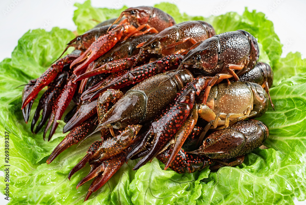 Crayfish with a dish cleaned on a white background