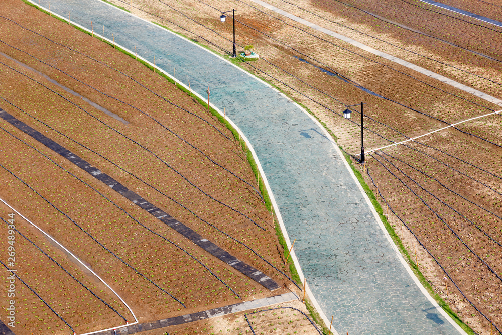 Aerial view over agriculture preparing vegetable fields with road through