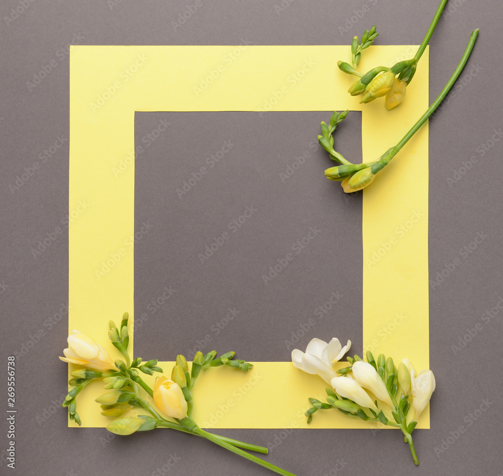 Frame with beautiful freesia flowers on grey background