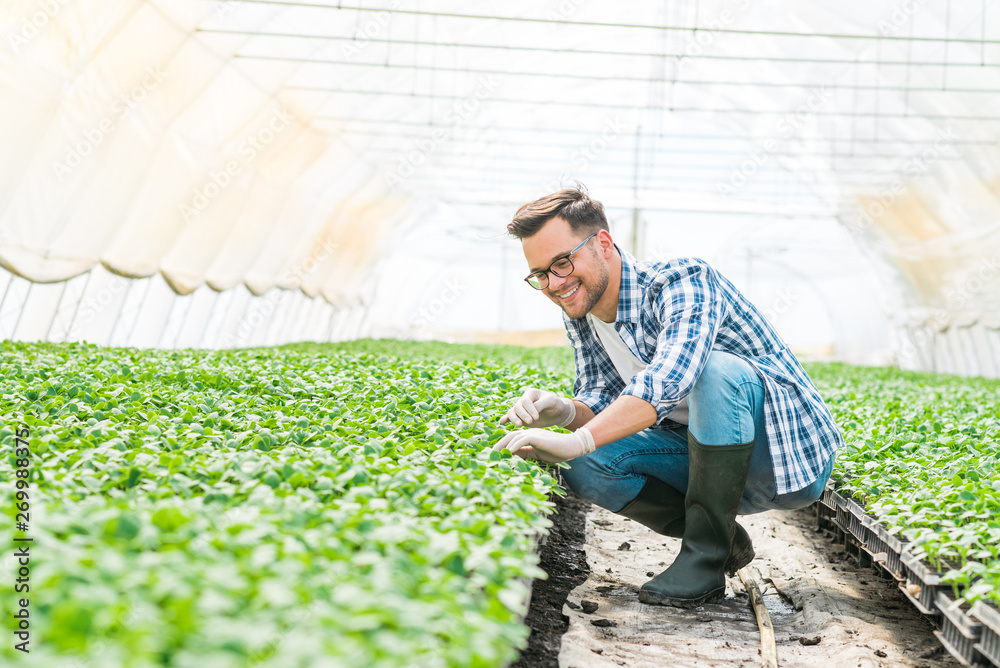 Young happy farmer at greenhouse.