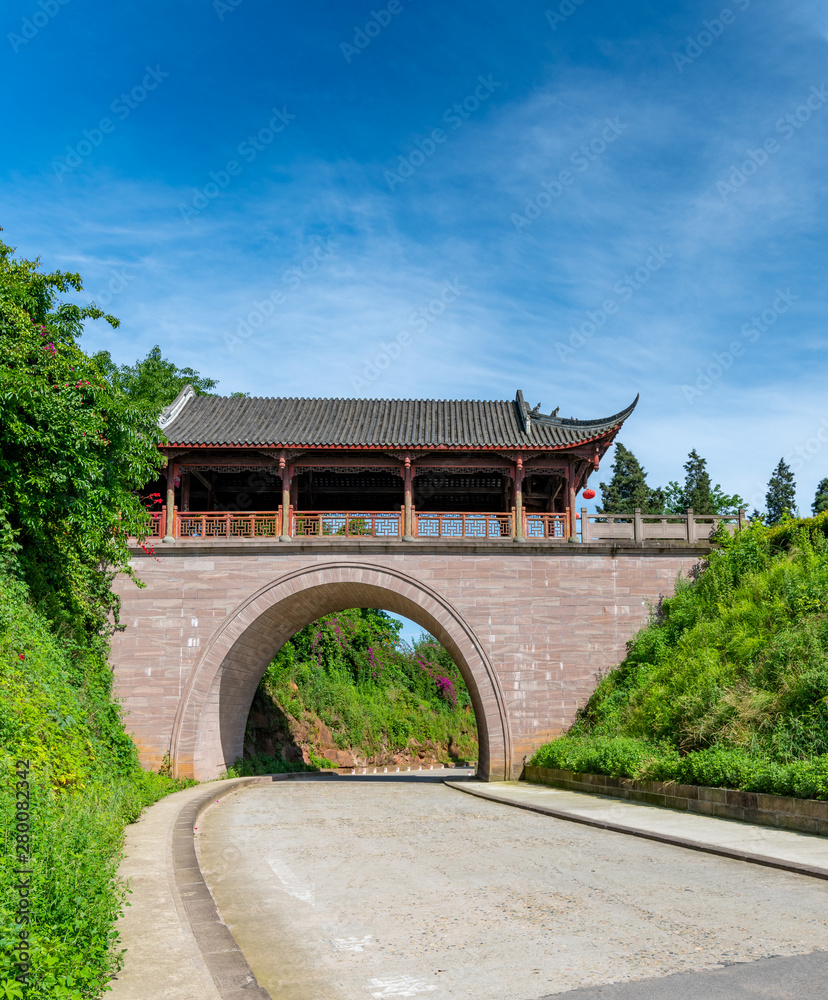 中国四川省成都市新津县的花舞风景