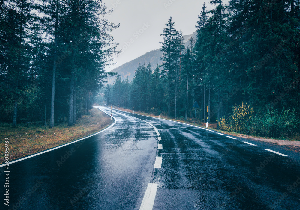 雨中的夏日雾林中的道路。阴天的完美沥青山路景观