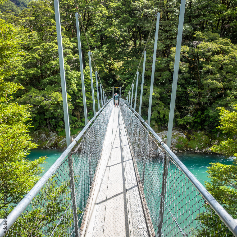 Haast River Landsborough Valley New Zealand