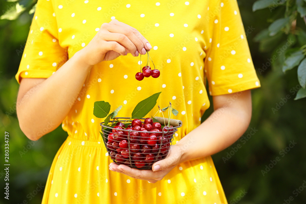 Woman holding basket with tasty fresh cherries in garden