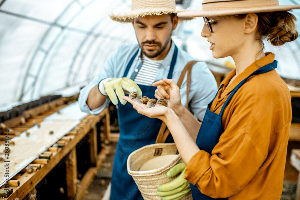 Two young beautifully dressed farmers examining snails growing process in the hothouse of the farm. 