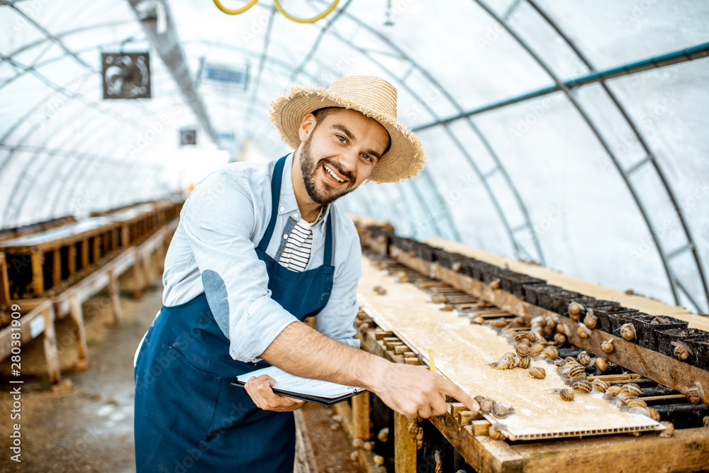 Handsome farmer taking care of snails, examining growing process in the hothouse of the farm. Concep