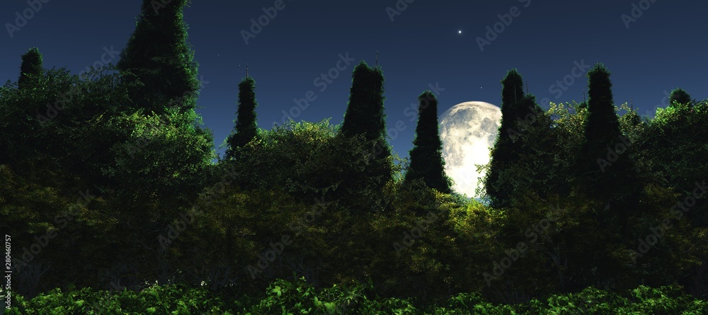 Moon above the park, night forest under the moon