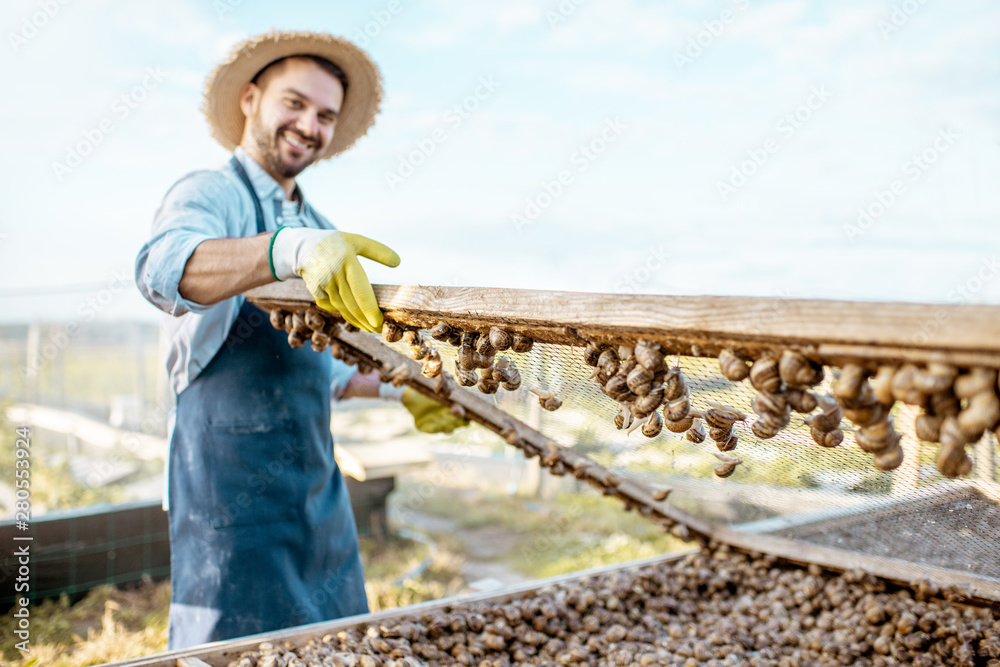 Handsome well-dressed farmer taking fresh snails from the nets for cooking on a farm outdoors. Conce