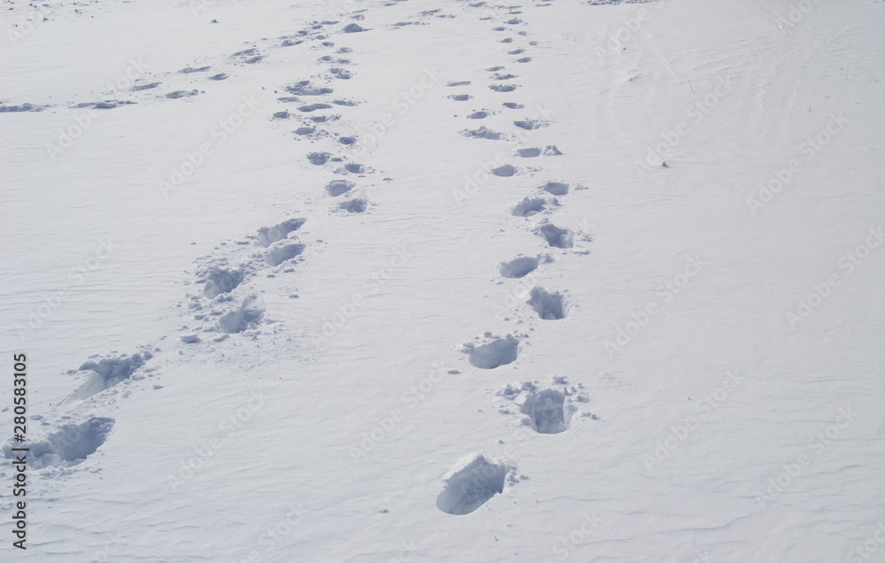 晴天踏雪