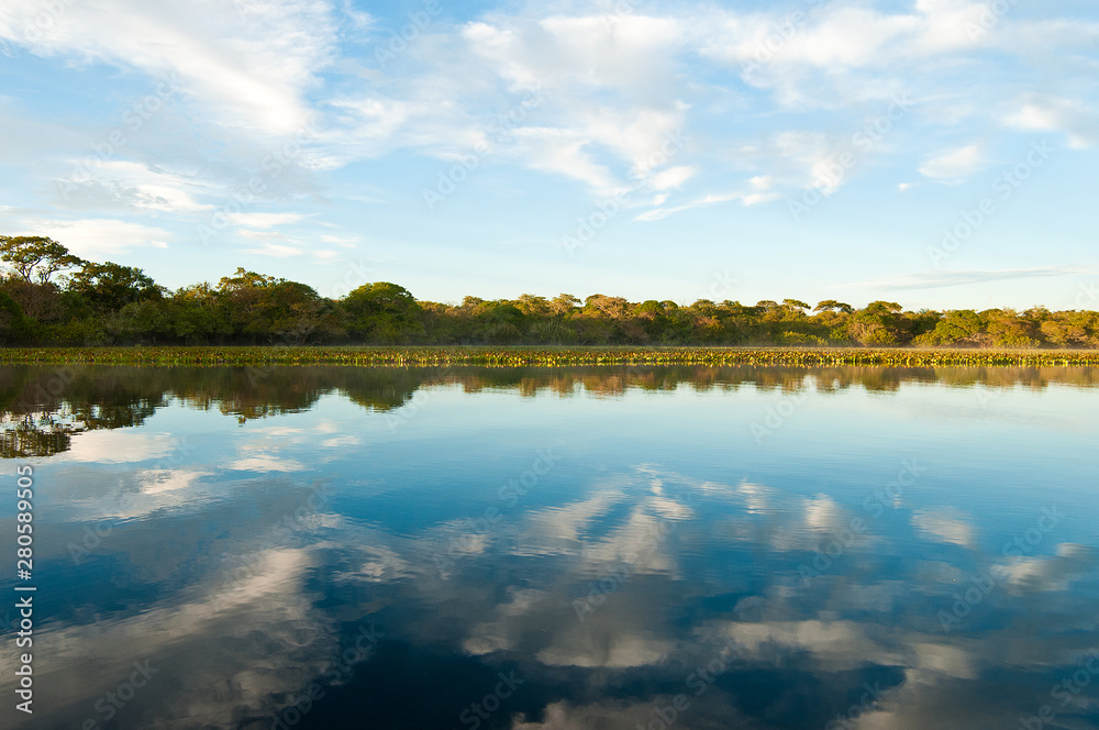 Pantanal