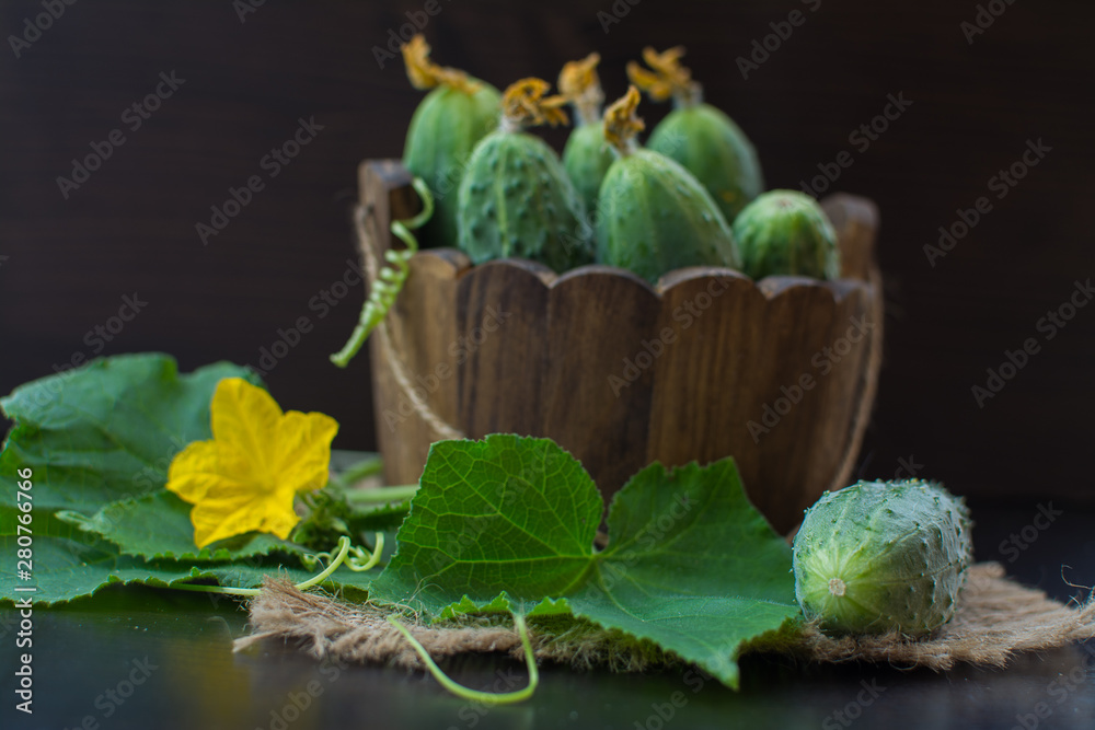 木碗里的新鲜黄瓜，叶子和黄色的花在黑暗的背景上。