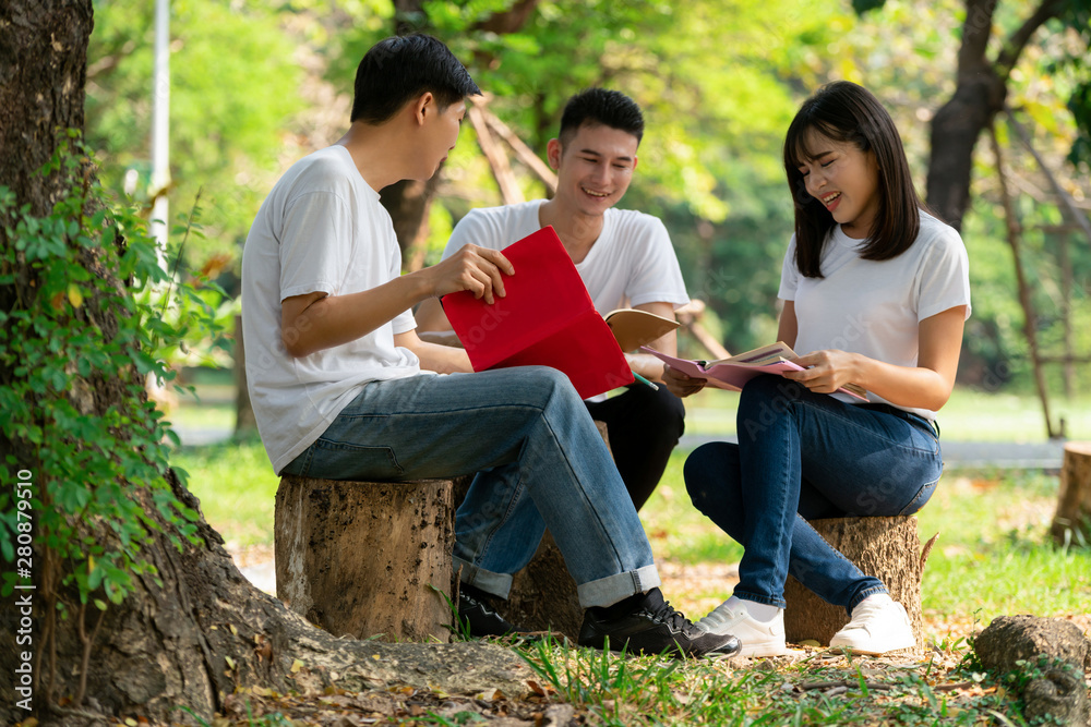 一群年轻学生在大学或学校的公园里学习小组项目。学习快乐