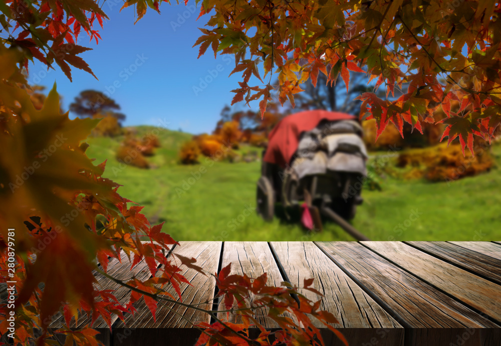 Wood table in autumn landscape with empty copy space for product display.