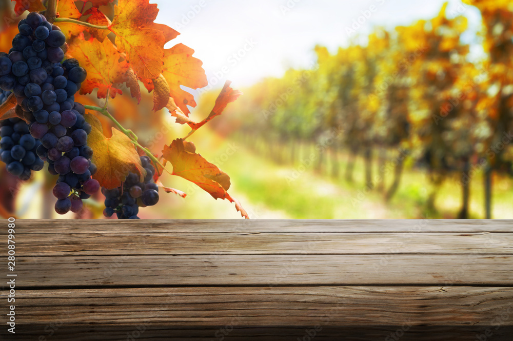 Brown wood table in autumn vineyard landscape with empty copy space on the table for product display