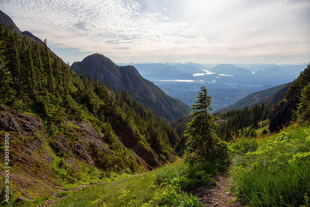 Beautiful view of Canadian Mountain Landscape during a vibrant summer day. Taken at Mt Arrowsmith, n