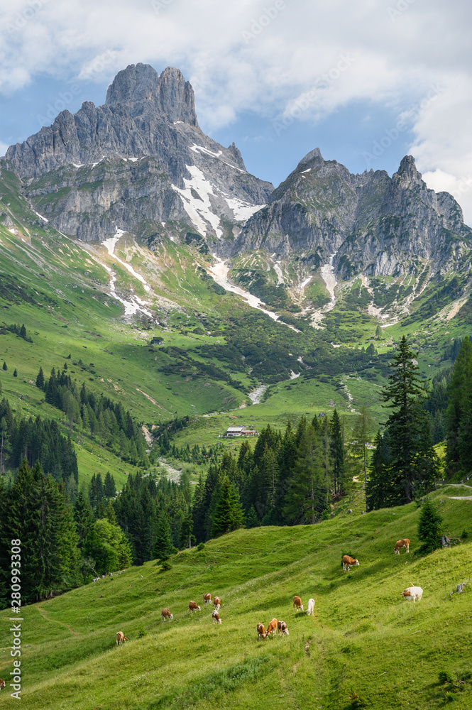 Cows in front of imposing mountain landscape, Salzburg, Austria