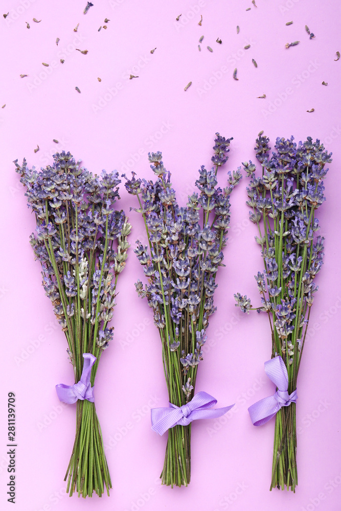 Bunches of beautiful lavender flowers on color background