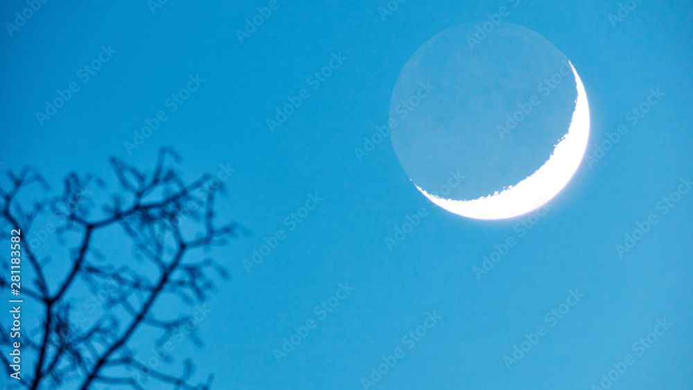 Moon with silhouette of a tree. My astronomy work.