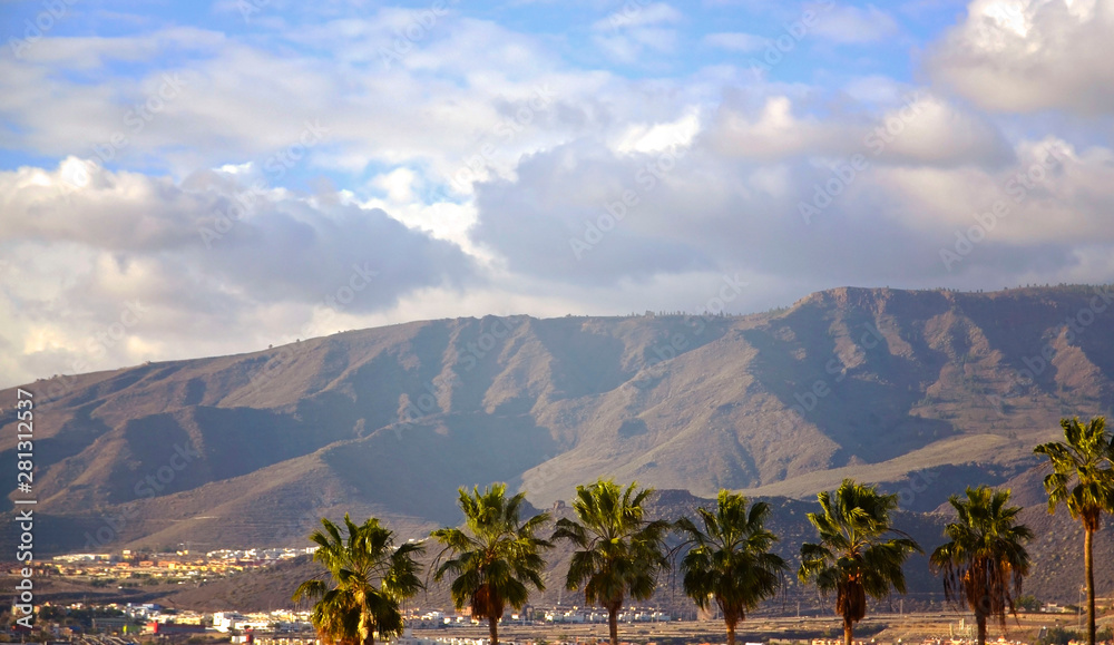 View with palm trees and mountains in Costa Adeje - one of the favorite tourist destinations of Tene