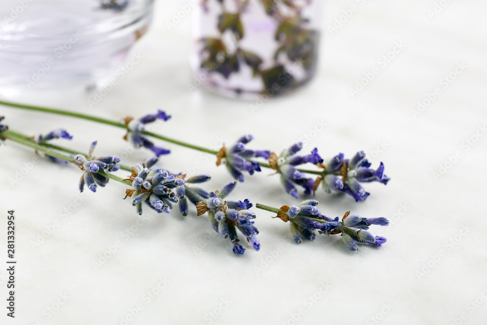 Lavender flowers on light background